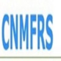 'chinamfrs